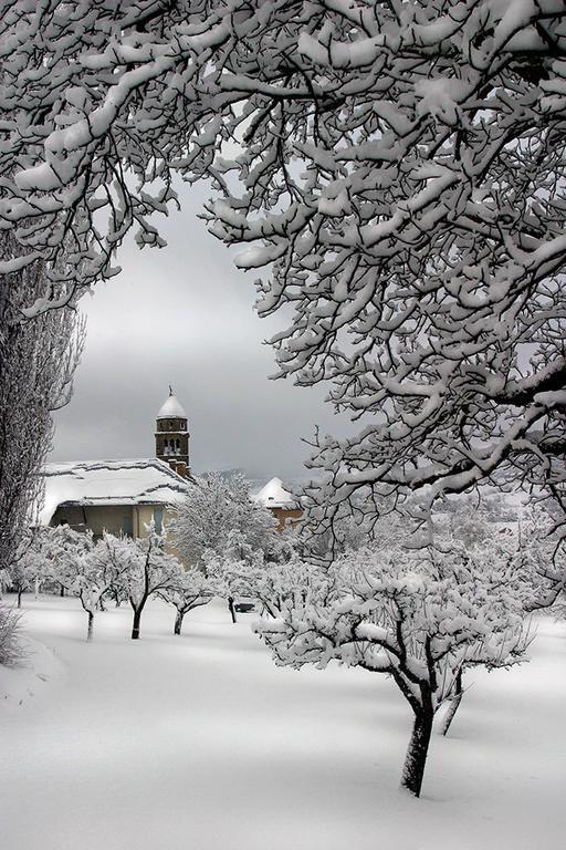 Le Des Faucons
